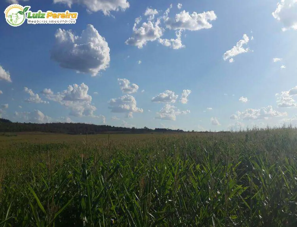 Terreno, 3264 m² - Foto 3