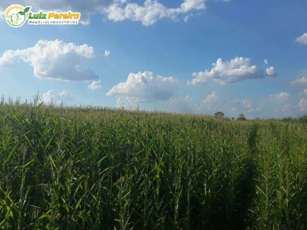 Terreno, 3264 m² - Foto 5