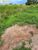 Terreno, 749 hectares - Foto 3