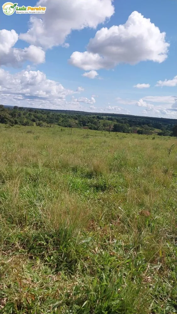 Terreno, 6870 hectares - Foto 4