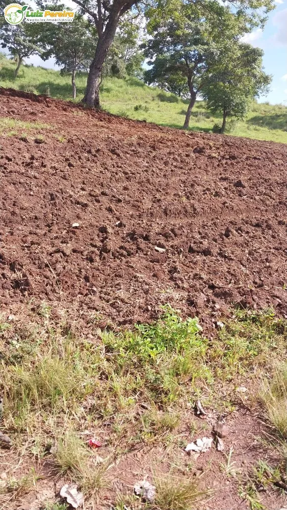 Terreno, 6870 hectares - Foto 10