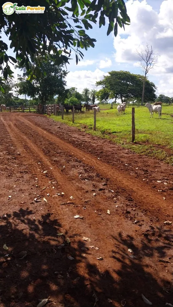 Terreno, 6870 hectares - Foto 12