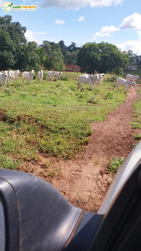 Terreno, 6870 hectares - Foto 11
