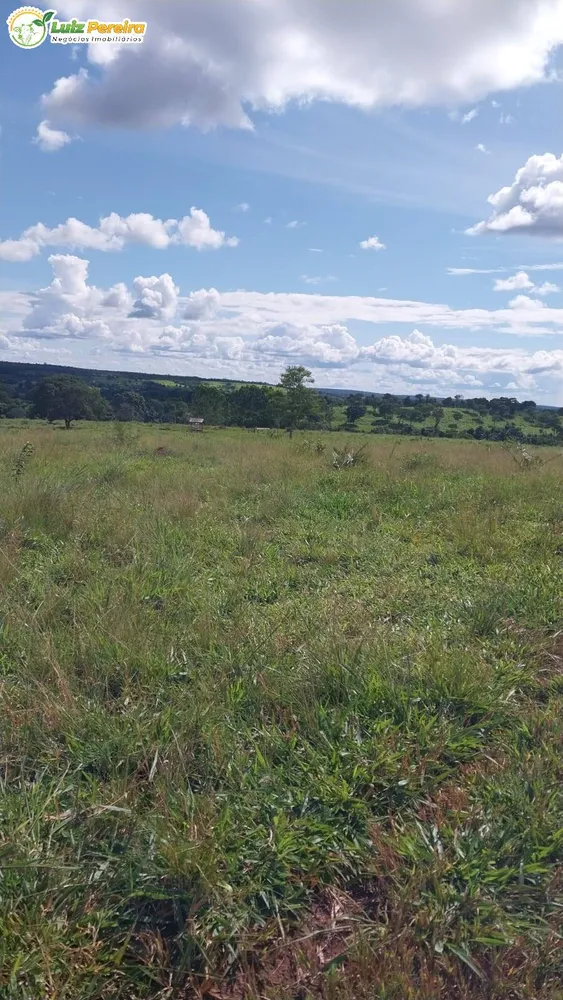 Terreno, 6870 hectares - Foto 3