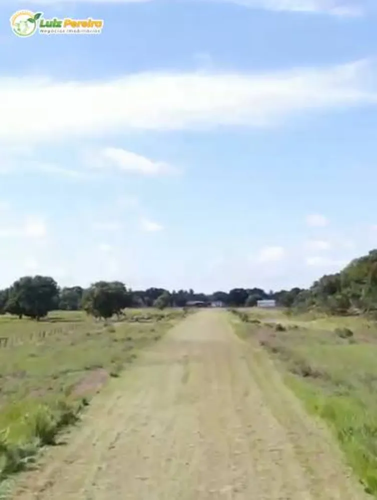 Terreno, 2 hectares - Foto 8