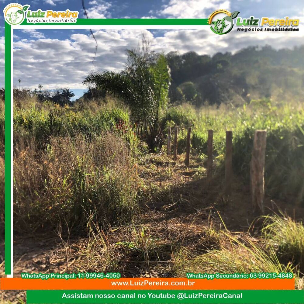 Terreno, 4448 m² - Foto 2