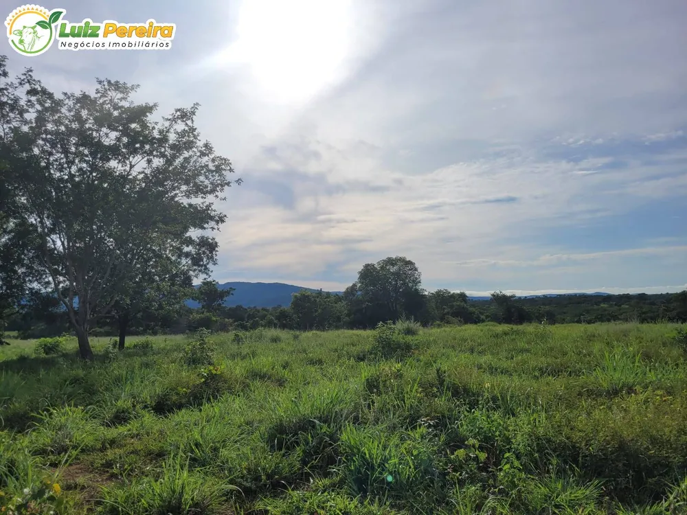Terreno, 1488 m² - Foto 11