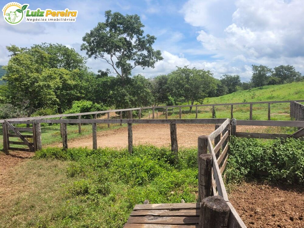 Terreno, 1488 m² - Foto 12