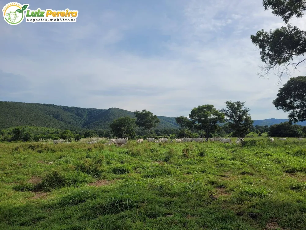 Terreno, 1488 m² - Foto 1