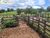 Terreno, 1488 m² - Foto 3