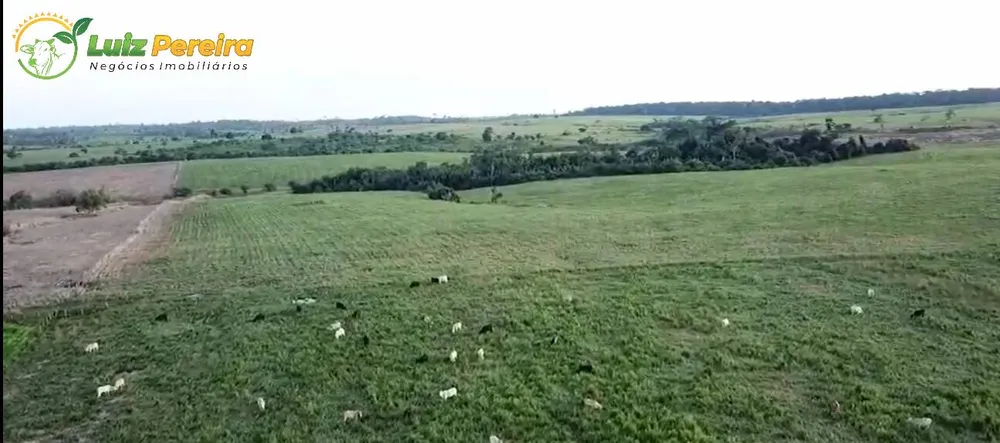 Terreno, 2604 m² - Foto 9