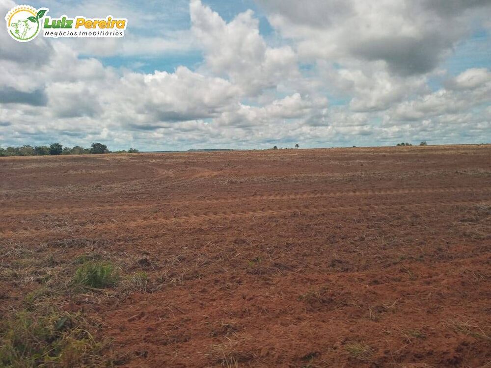 Terreno, 1355 m² - Foto 2