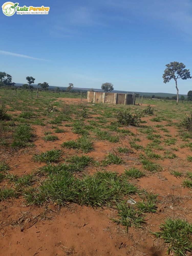 Terreno à venda, 2000000m² - Foto 3