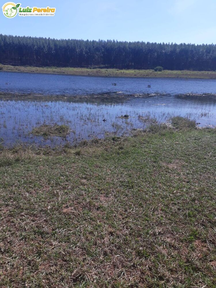 Terreno à venda, 2000000m² - Foto 2