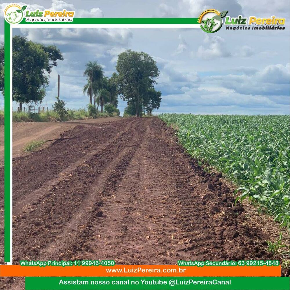 Terreno, 2199 m² - Foto 9