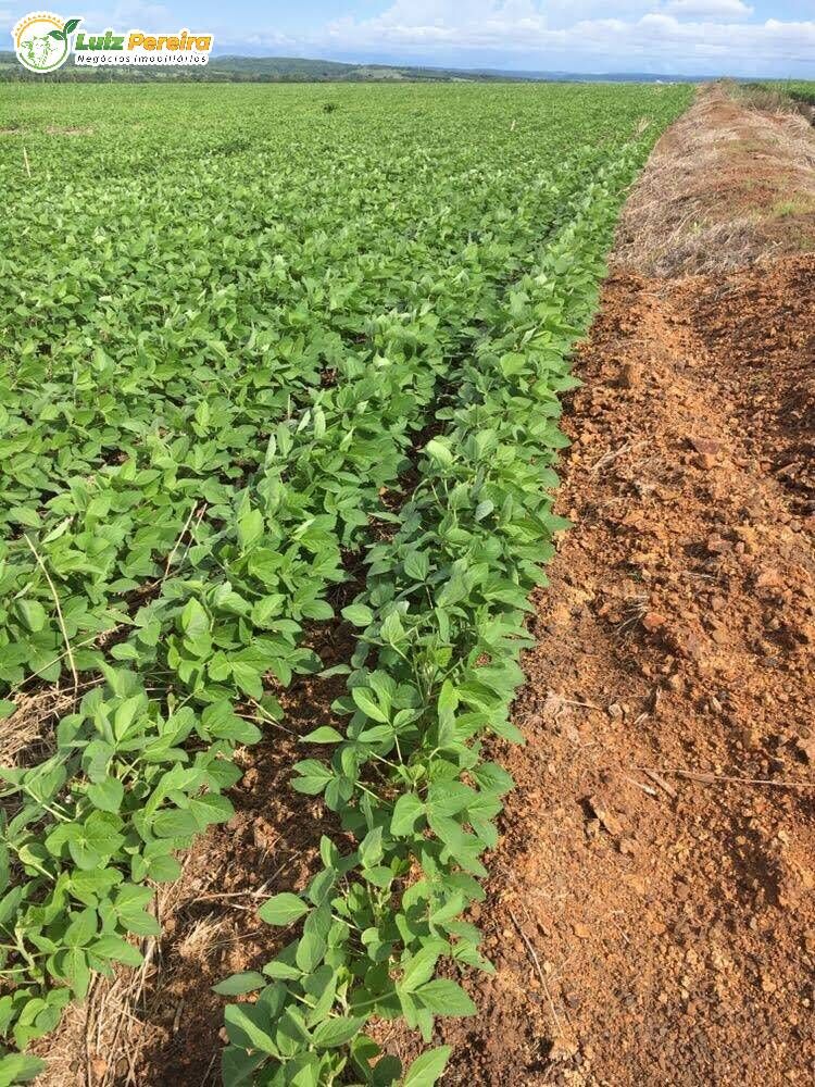 Terreno, 2199 m² - Foto 6