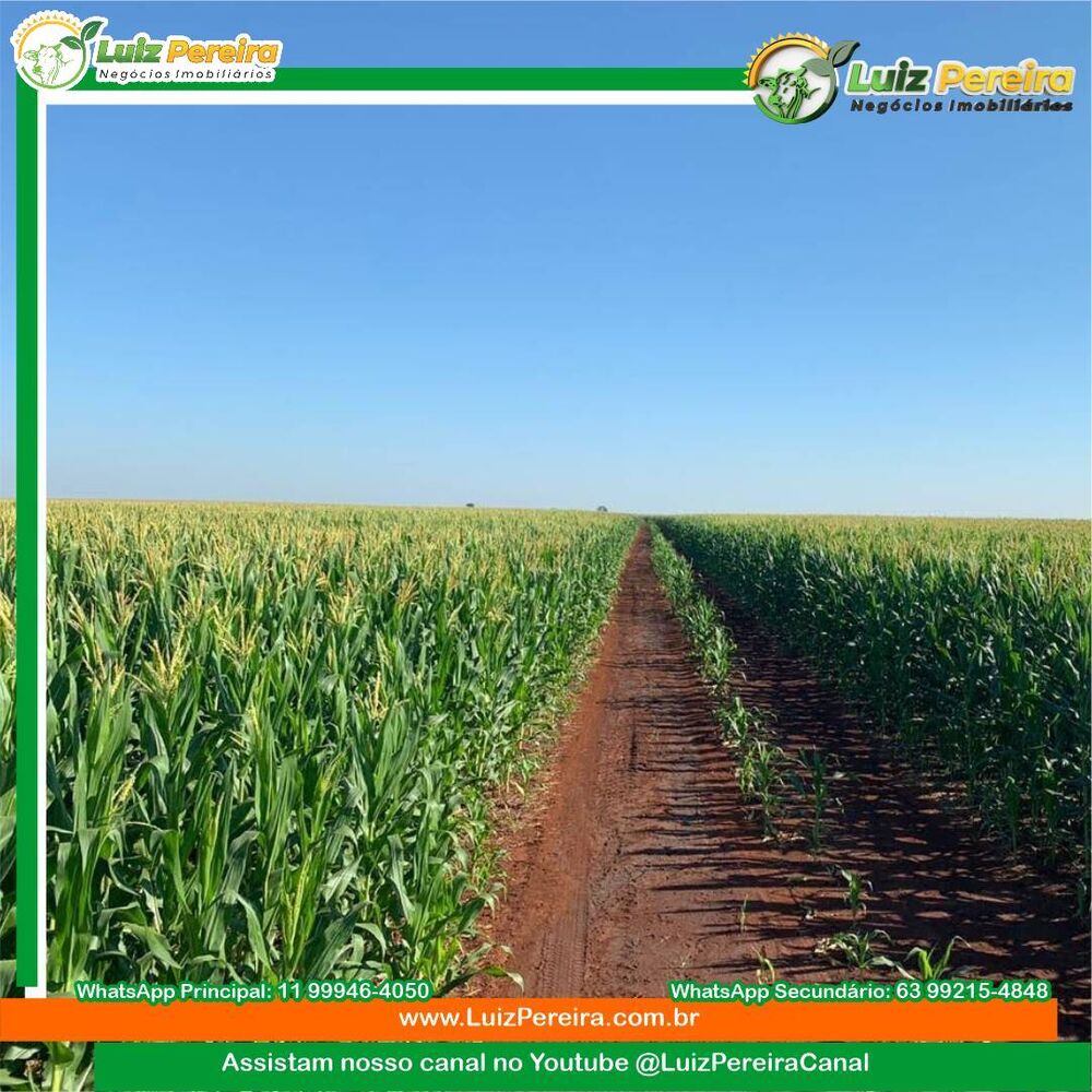 Terreno, 2199 m² - Foto 10