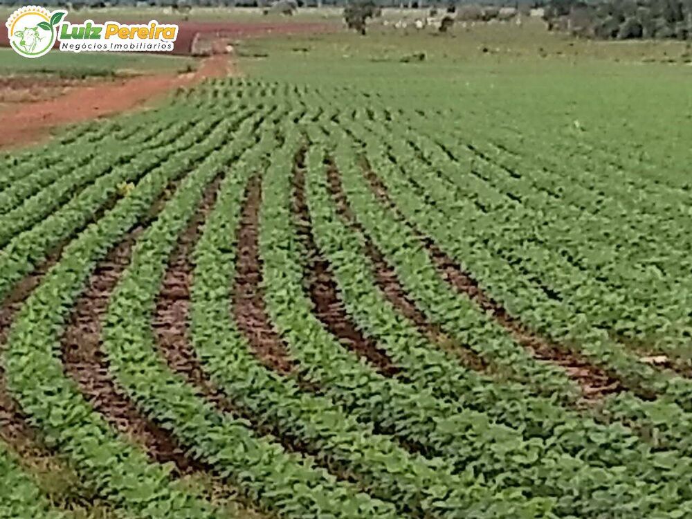 Terreno, 2199 m² - Foto 1