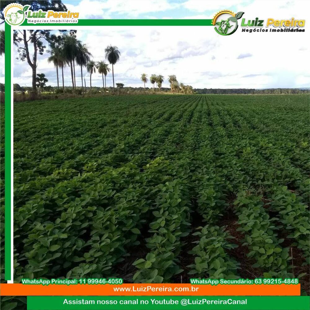 Terreno, 2199 m² - Foto 2