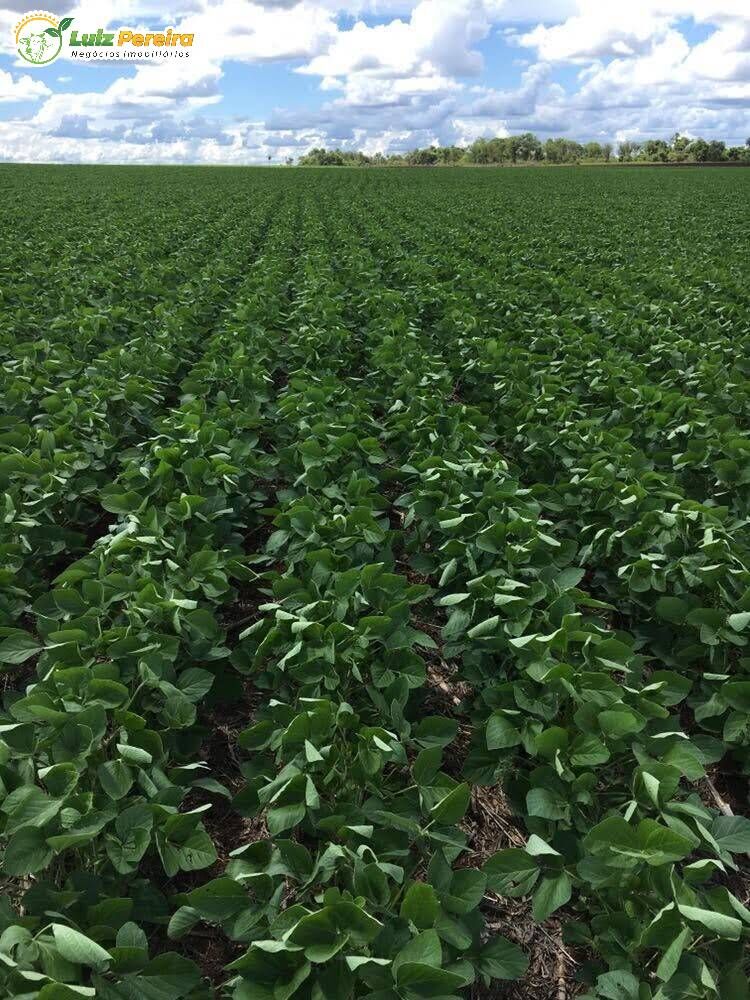 Terreno, 2199 m² - Foto 4