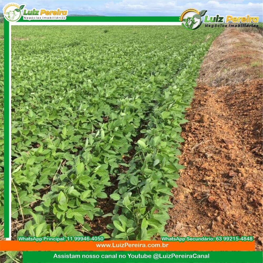 Terreno, 2199 m² - Foto 11