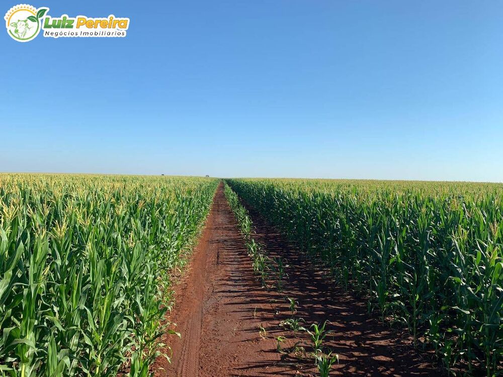 Terreno, 2199 m² - Foto 8