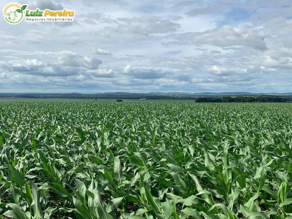 Terreno, 2199 m² - Foto 5