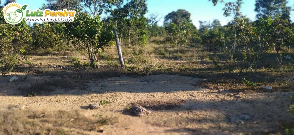 Terreno, 1630 m² - Foto 8