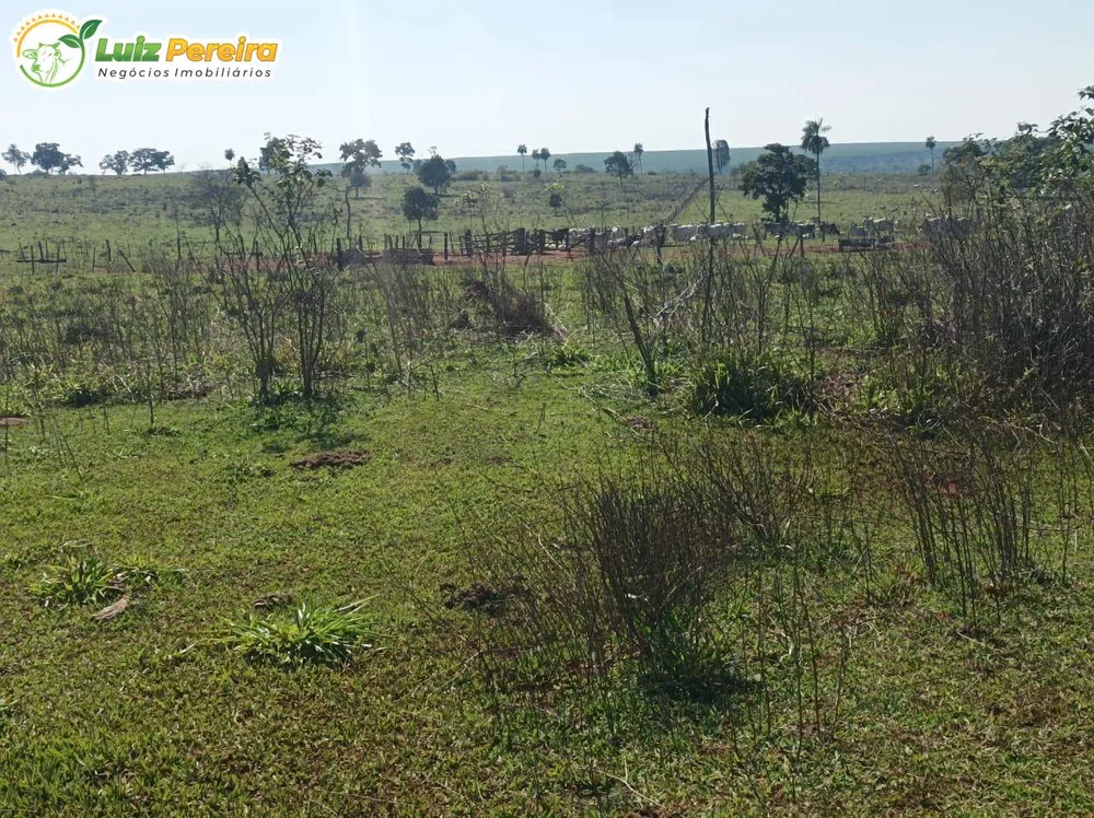 Terreno, 653 m² - Foto 16