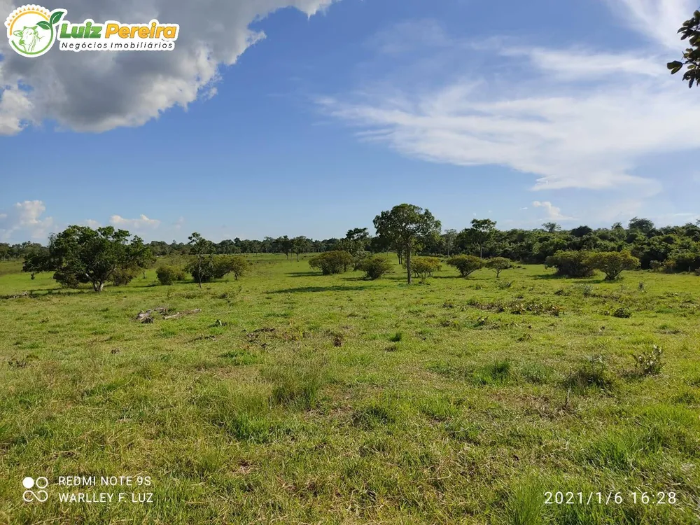 Terreno, 663 hectares - Foto 6