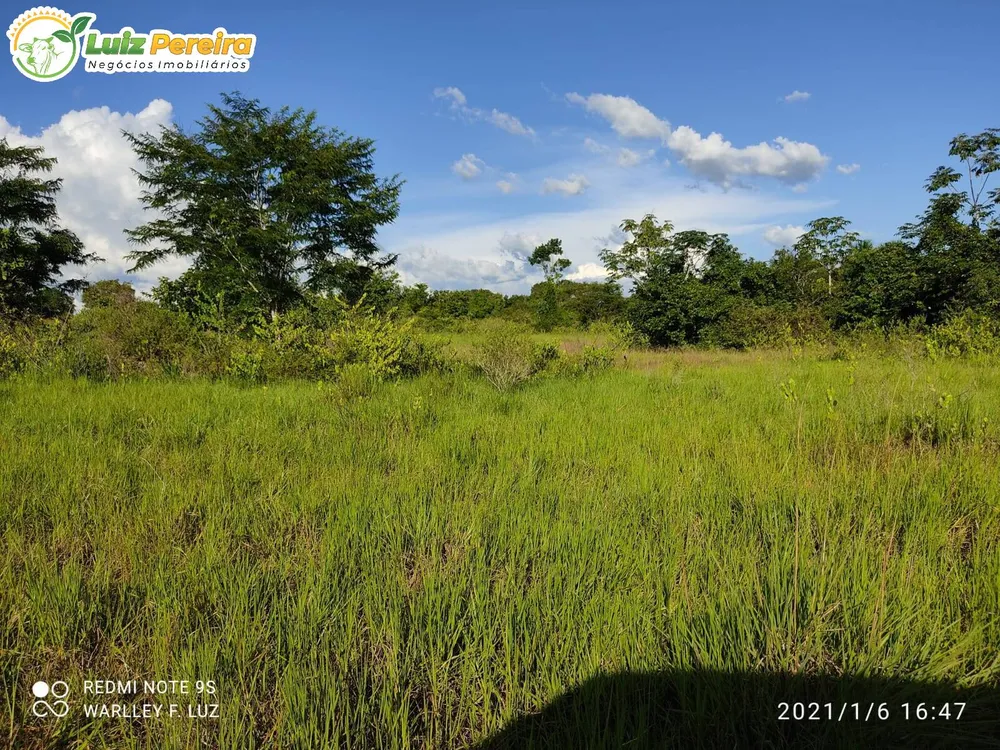 Terreno, 663 hectares - Foto 4