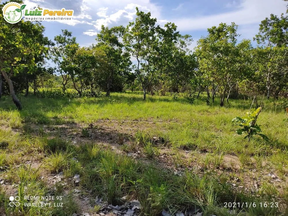 Terreno, 663 hectares - Foto 7