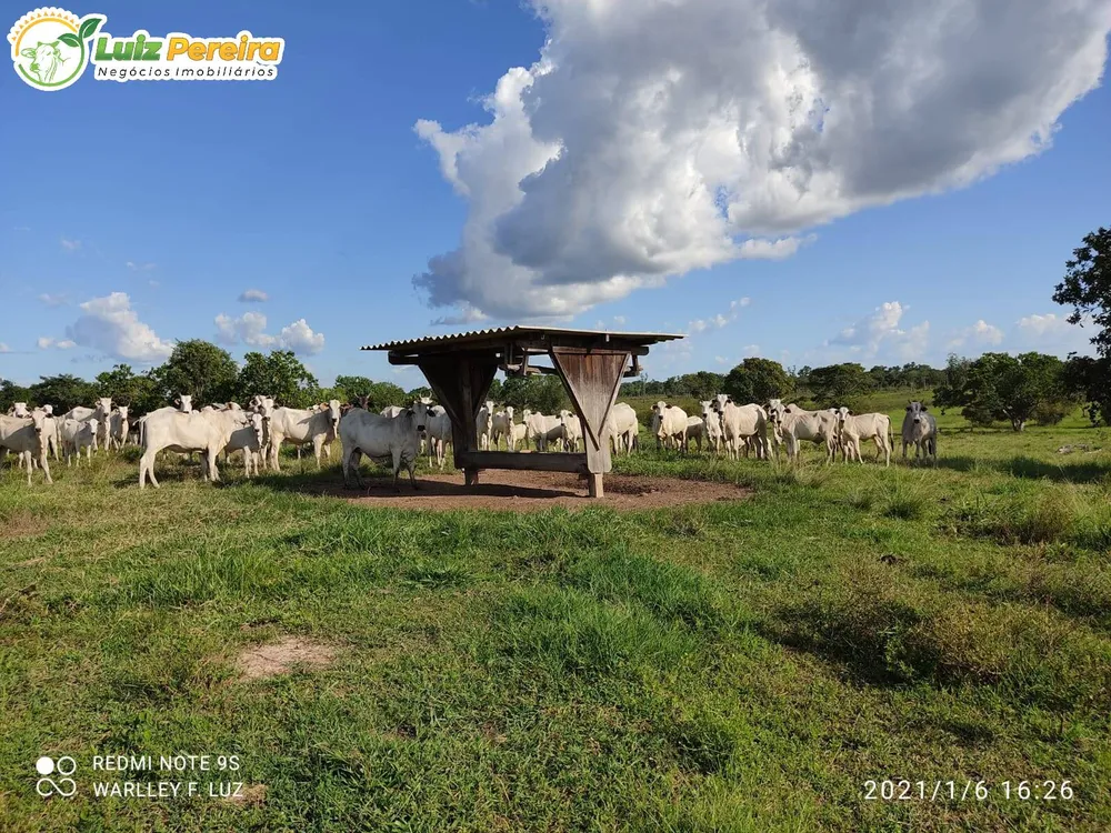 Terreno, 663 hectares - Foto 1