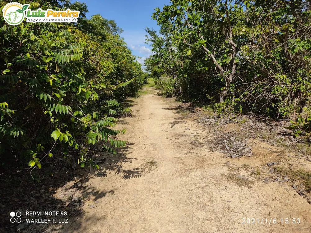 Terreno, 663 hectares - Foto 17