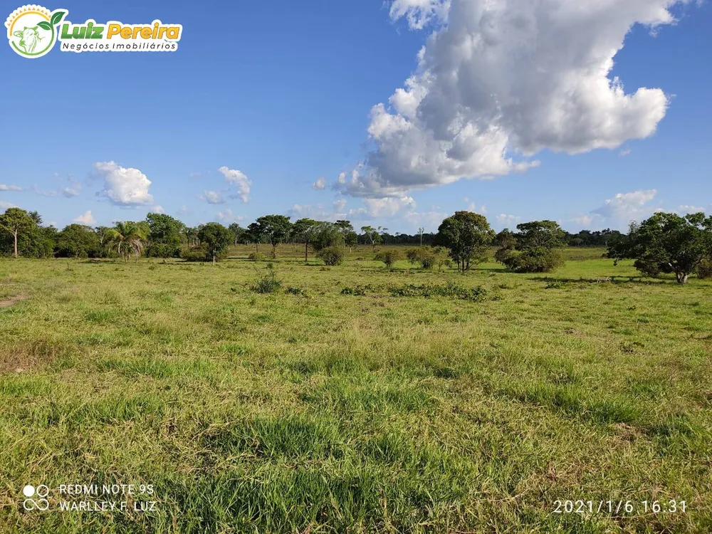 Terreno, 663 hectares - Foto 2