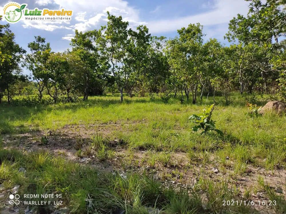 Terreno, 663 hectares - Foto 3