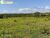 Terreno, 663 hectares - Foto 2