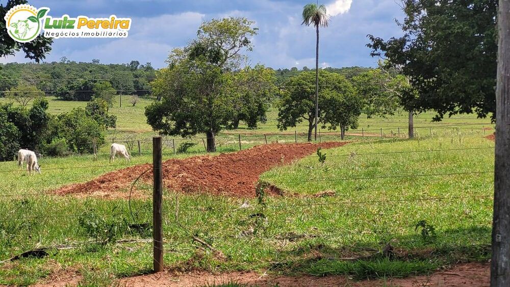 Terreno, 643 m² - Foto 10