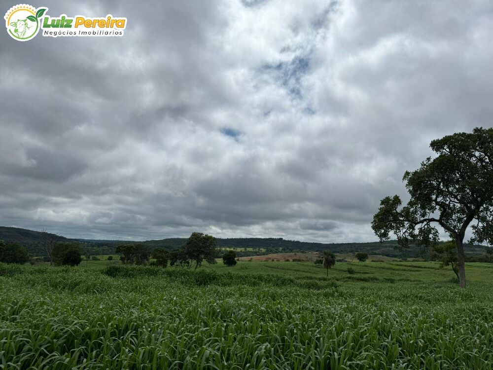 Terreno, 643 m² - Foto 8