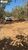 Terreno, 363 m² - Foto 4