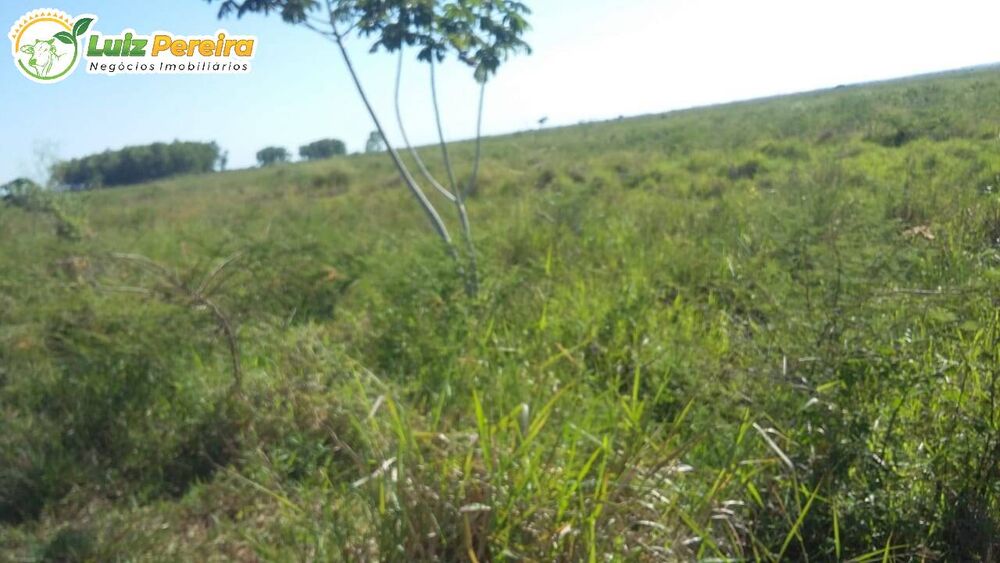 Terreno, 701 m² - Foto 3