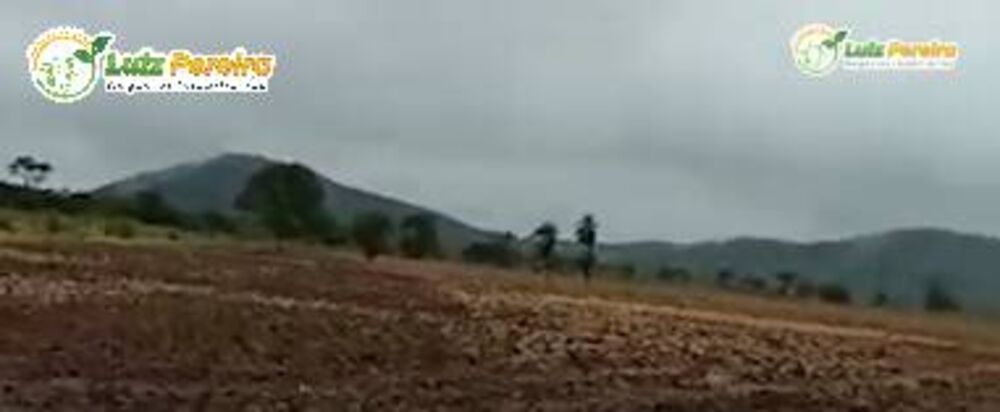 Terreno, 1000 m² - Foto 4