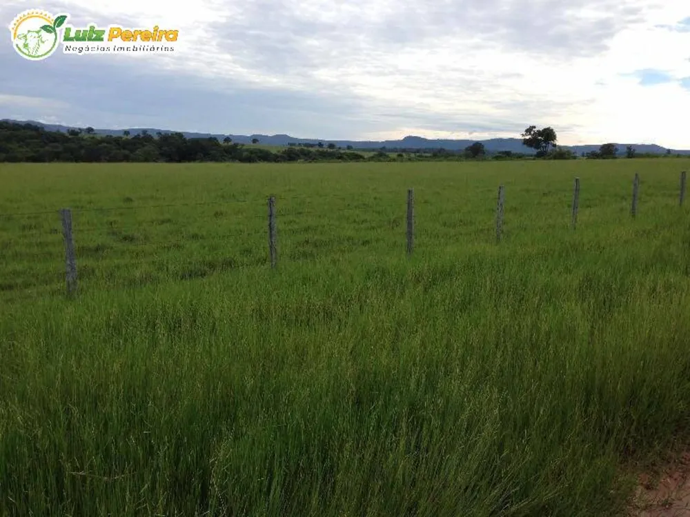 Terreno, 1000 m² - Foto 3