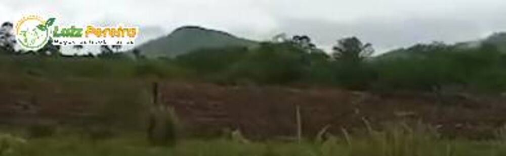 Terreno, 1000 m² - Foto 3