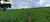 Terreno, 754 hectares - Foto 2