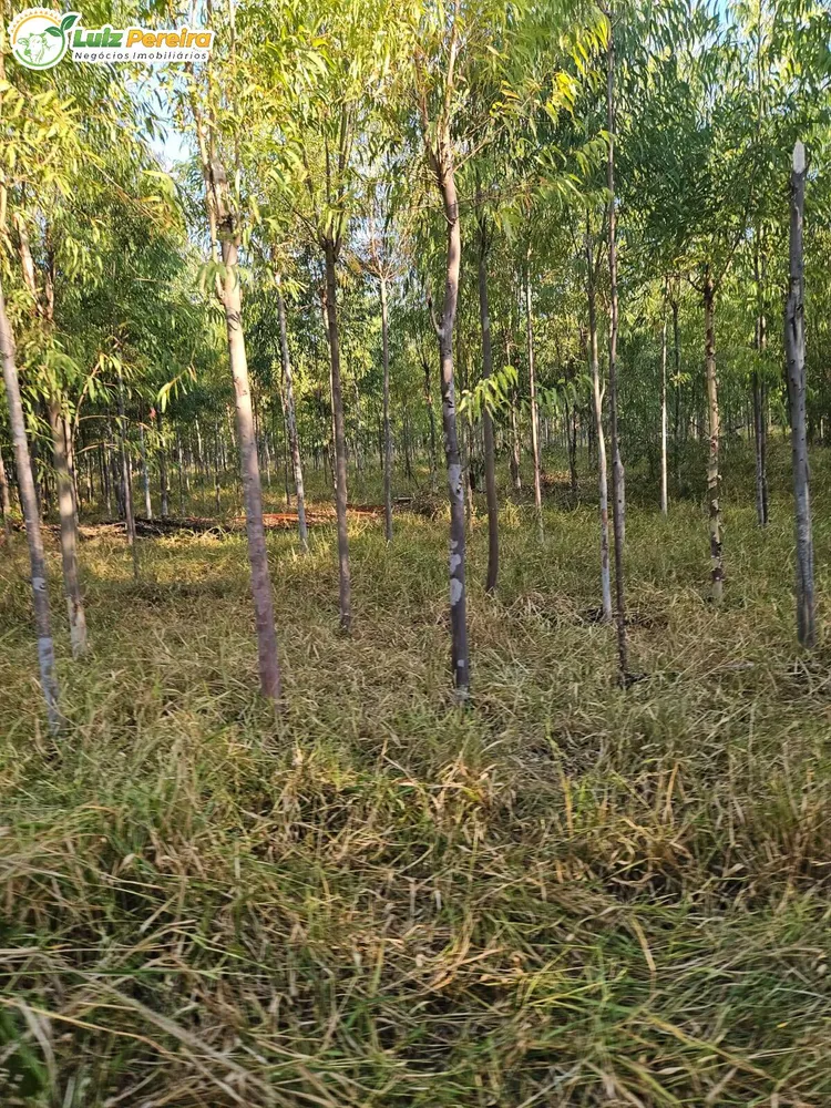 Terreno, 64 m² - Foto 5