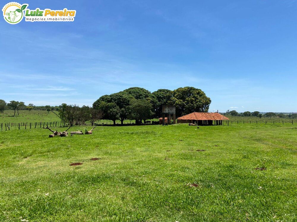 Terreno, 451 hectares - Foto 1