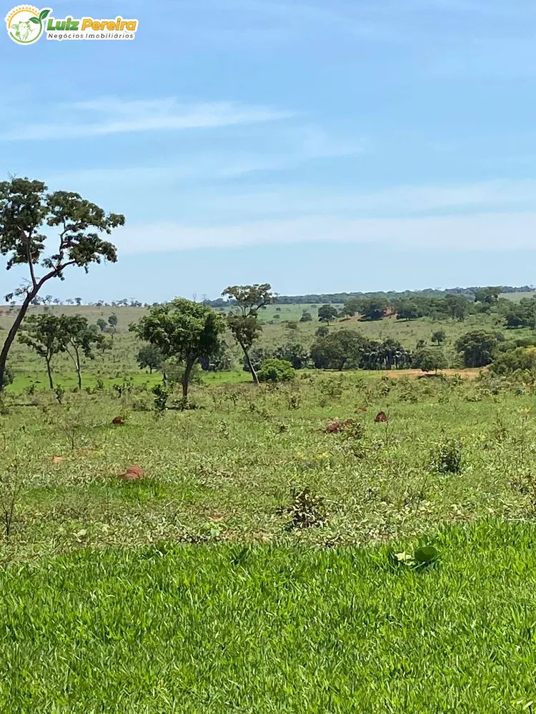 Terreno, 451 hectares - Foto 7