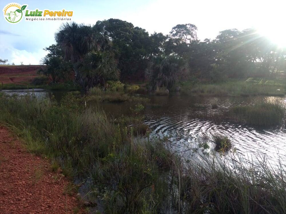 Terreno, 451 hectares - Foto 3