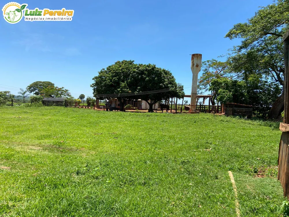 Terreno, 451 hectares - Foto 6